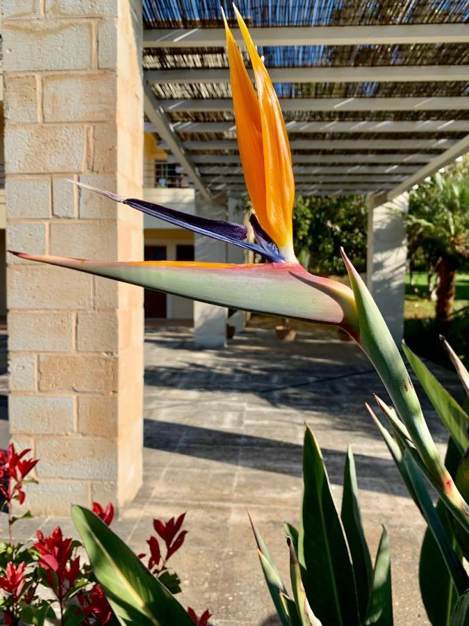 Aggelos And Thisbe Chania Suburbs Sea View Guest House Екстер'єр фото