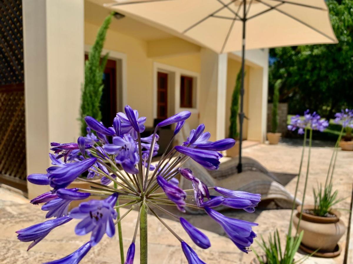 Aggelos And Thisbe Chania Suburbs Sea View Guest House Екстер'єр фото